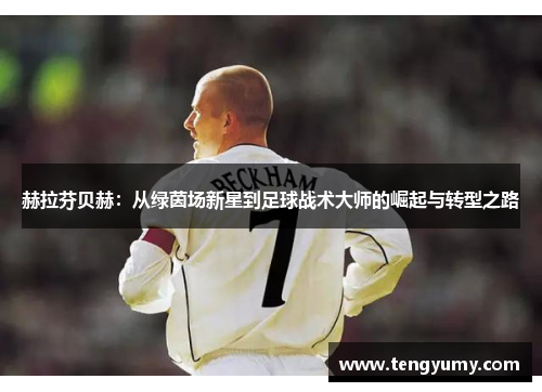 赫拉芬贝赫：从绿茵场新星到足球战术大师的崛起与转型之路