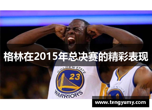 格林在2015年总决赛的精彩表现