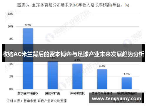 收购AC米兰背后的资本博弈与足球产业未来发展趋势分析