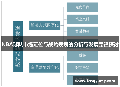 NBA球队市场定位与战略规划的分析与发展路径探讨