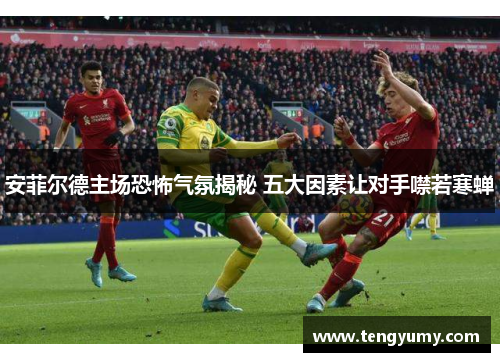 安菲尔德主场恐怖气氛揭秘 五大因素让对手噤若寒蝉