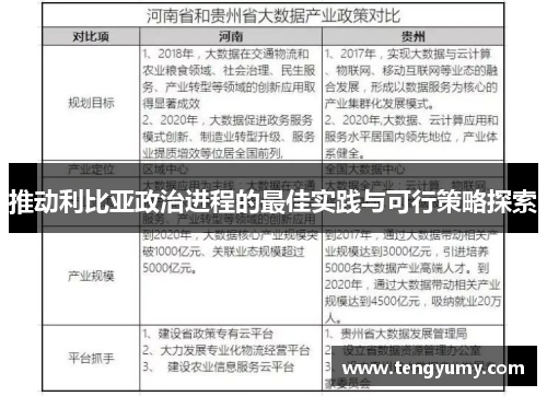 推动利比亚政治进程的最佳实践与可行策略探索