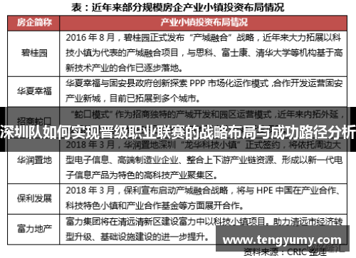 深圳队如何实现晋级职业联赛的战略布局与成功路径分析