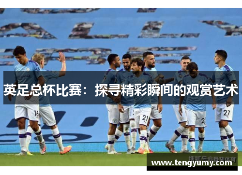 英足总杯比赛：探寻精彩瞬间的观赏艺术
