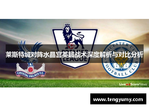 莱斯特城对阵水晶宫英超战术深度解析与对比分析