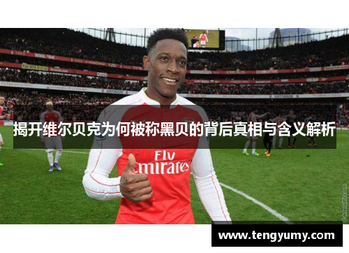 揭开维尔贝克为何被称黑贝的背后真相与含义解析