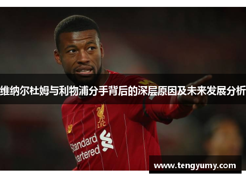 维纳尔杜姆与利物浦分手背后的深层原因及未来发展分析