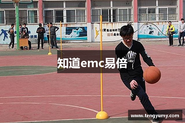 知道emc易倍